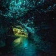 Waitomo caves - just magical