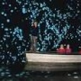 Glow worm caves at Waitomo