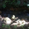 A stream running alongside the track of the Trig walk - crystal clear