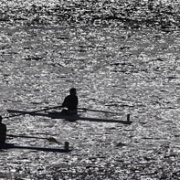 10km Row of Whanganui River:  Second place went to AWRC's Under 16 coxed four of  WHS students; Zeah Brewer, Mikayla Manville, Niamh Murphy, Ella Dudley & cox Campbell Monk, Chronicle 14/11/17.