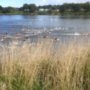 PE classes doing the swimming leg of the Triathlon at the Multi Sport Club, 2015.