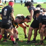 1st XV Rugby Team Hutt Valley High School Sports Exchange, 19/6/18.