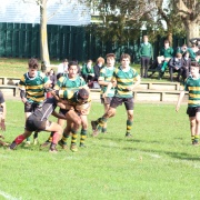 1st XV Rugby Team Hutt Valley High School Sports Exchange, 19/6/18.