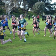  WSS Cross Country 24/5/18.
