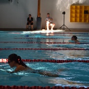 WHS Swimming Champs, 15/2/18.