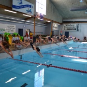 WHS Swimming Champs, 15/2/18.