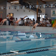 WHS Swimming Champs, 15/2/18.