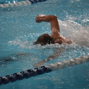 WHS Swimming Champs, 15/2/18.