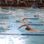 WHS Swimming Champs, 15/2/18.