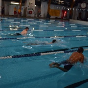 WHS Swimming Champs, 15/2/18.