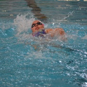 WSS Swimming Champs, 2/3/18.