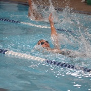 WSS Swimming Champs, 2/3/18.