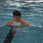 WSS Swimming Champs, 2/3/18.