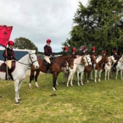 Wanganui Sharks Showhunter Team 2018 finished 6th out of 19 teams which was a fantastic achievement for a very small club; NI Showhunter Team Champs in Foxton 28-30 September 2018.  