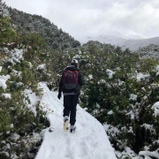 Mr Watkins OAS1 class tramping all the way down to Dawson Falls, Mt Taranaki, 7/6/18.