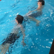 WSS Lifesaving Champs, 2/3/18.  Great display of Lifesaving from WHS.