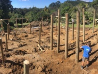 Liam admiring the poles