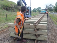 One of the track gangers taps rail into place.