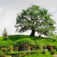 Hobbiton Movie Set