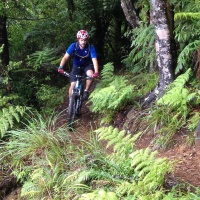 Maintain biking in the Kaimai Mamaku National Park