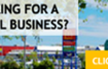 Biz