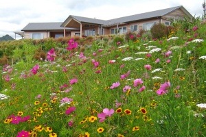 Relax or get out and about - your choice.