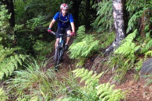 Maintain biking in the Kaimai Mamaku National Park