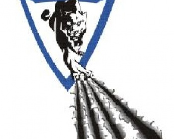 Mt Wellington Panthers