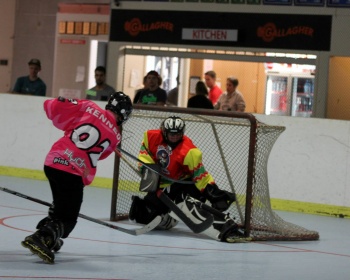 PINK PANTHERS / LOS POLLOS HERMANOS