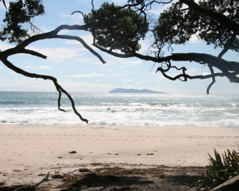Looking from Orakawa bay out to Mayor Island