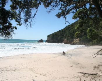 Orakawa Bay beach