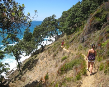Homunga coastal walking track
