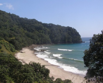 Homunga to Waihi Beach walk