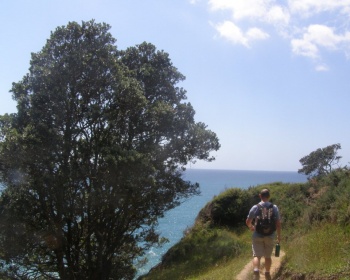 Homunga to Waihi Beach walking track