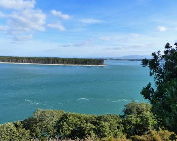 Looking from Bowentown heads across to Matakana Island
