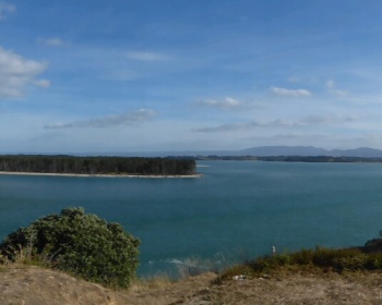 Looking across to Matakana from Bowentown with a panoramic biew