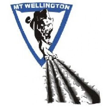 Mt Wellington Panthers