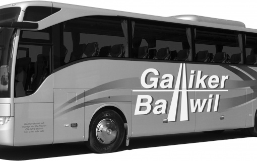 Galliker Ballwil AG, CarReisen - Mercedes Tourismo - JPG SW