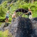 Karangahake Gorge