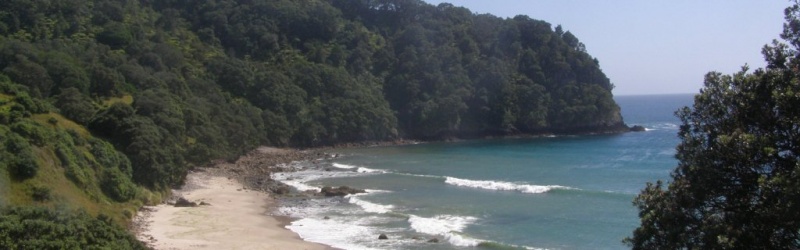 Homunga to Waihi Beach walk