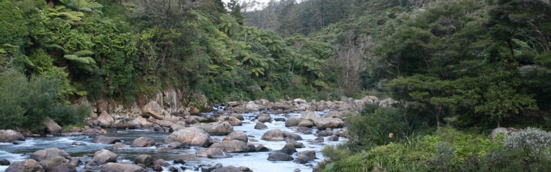 Karangahake Gorge