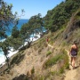 Homunga - Waihi Beach Track