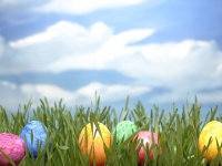 Join in our Annual Easter egg hunt!