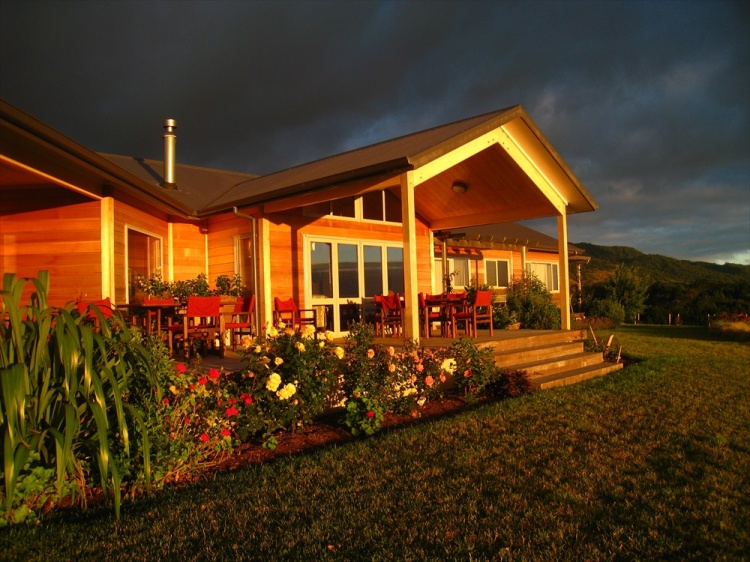The guest deck and roses at dawn