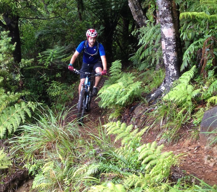 Maintain biking in the Kaimai Mamaku National Park