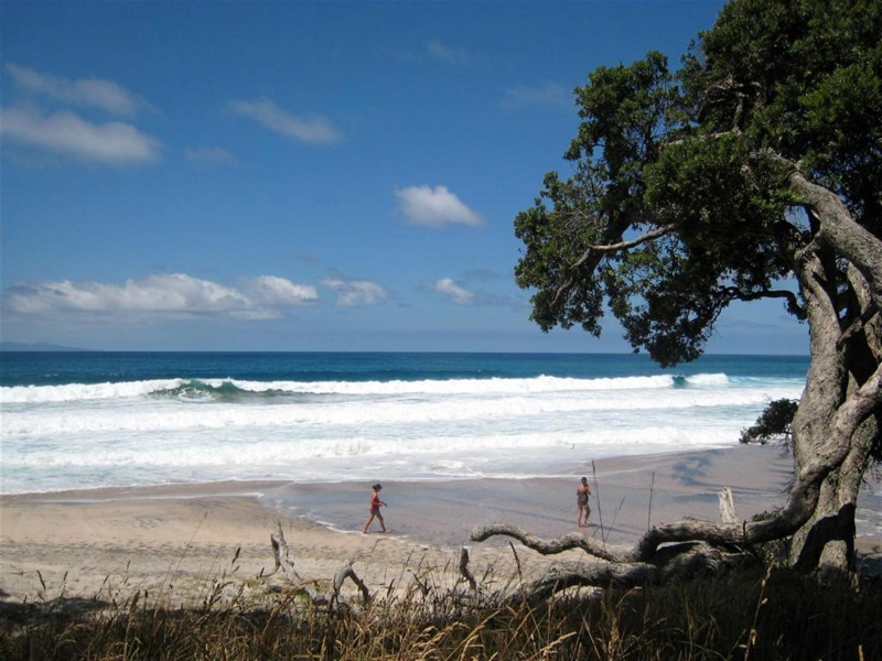 Orakawa Bay beach