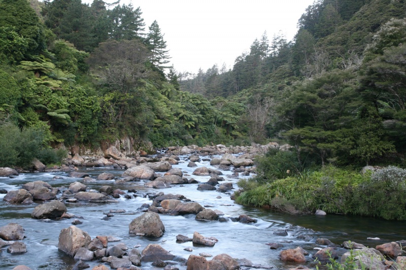 Karangahake Gorge